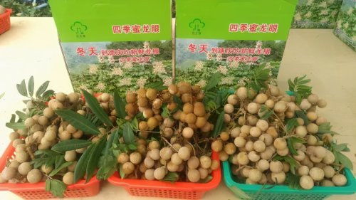 肇慶被確定為國家農產品質量安全市創建單位，躍居全省第三